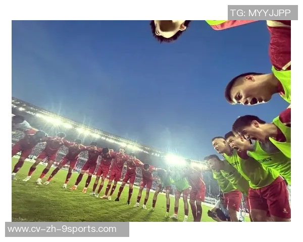 足球的魅力与激情在绿茵场上的绽放与传承